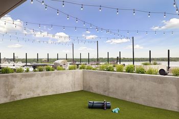 Private outdoor dog park with dog walking areas